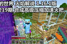 我的世界 火焰解说 1.16.1版 第219期 合成高级压缩加速火把视频封面