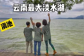 72岁父母第五次来昆明，第一次来海拔1880米滇池，走在街路啥感觉视频封面