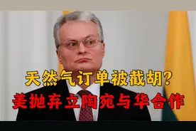 中美签天然气巨额订单，立陶宛惨遭美国抛弃，频频反华只得过寒冬视频封面