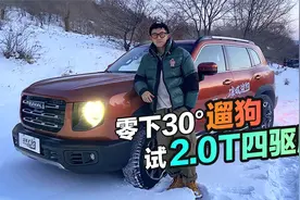 车若初见：试完2.0T四驱版的哈弗大狗 有几个要点要跟大家讲视频封面