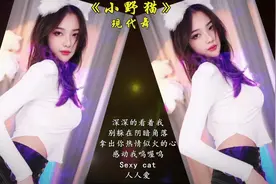 歌舞音乐mv《小野猫》我就是一只性感的小野猫！