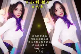 歌舞音乐mv《小野猫》我就是一只性感的小野猫！