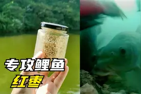 红枣钓鱼真的有那么厉害吗？水下测试揭露真相，实践证明真实有效