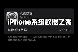 iPhone系统数据大爆炸，内存告急！一手教你解决系统数据之殇视频封面