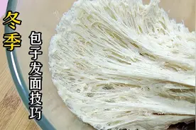 冬天如何发包子面？加多少酵母？面点师教你小技巧，好捏又饱满