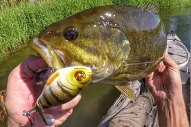 路亚钓不用鱼诱饵钓鱼，完全打破传统钓鱼的常识！视频封面