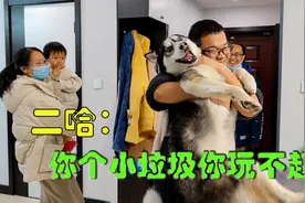 二哈上演狗遛人大戏，身形如闪电，累得铲屎官气喘吁吁，太逗了视频封面