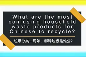 粽子叶居然属于干垃圾，令人疑惑的10种垃圾有哪些
