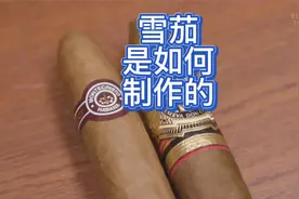 雪茄是如何制作的#视频封面