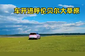 内蒙自驾游，来到呼伦贝尔草原，真是太美了，一生不来一次会遗憾视频封面