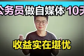 公务员坚持做自媒体，10天了，收益怎么样，网友：太真实了