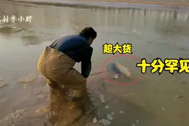 小伙冰下发现黄河大鲤鱼，到底有多大？十分罕见，砸冰抱起很激动视频封面
