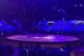 听说全场都在找《岁月神偷》这首歌，没想到原唱竟是她，唱功不俗