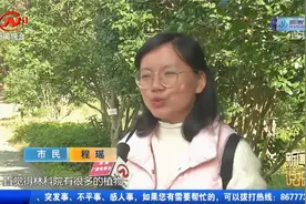 江西省林科院：山茶花品种多款式齐全，最佳观赏期别错过！视频封面