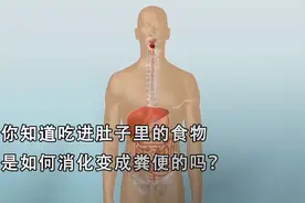 你知道吃进肚子里的食物是如何消化变成粪便的吗？视频封面