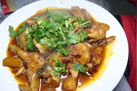 赶海抓来的支鱼又大又肥！大梅给它红烧了，家人吃着都说香！视频封面