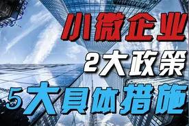 国家出台了哪些扶持小微企业发展的相关政策？听清华韩秀云分析视频封面