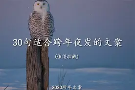 30句适合跨年夜发的文案，值得收藏！视频封面