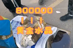 价值近800000！！！“黄金水晶”原石现身地摊视频封面
