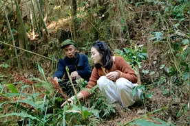 云南山里遍地的好货，表嫂跟着老中医上山狂捡，眼都看花了视频封面