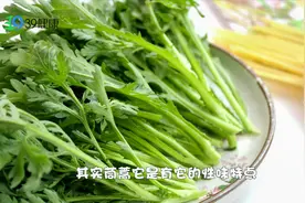很多人嫌弃的茼蒿，是中医眼中的“宝贝”！可以振阳气，促消化视频封面