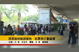 西双版纳旅游渐热  机票预订量猛增视频封面
