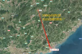 迟归鸽与冠军鸽的差距到底多大？3D动态轨迹还原出最实的飞行数据视频封面