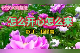卡拉OK完整版《怎么开心怎么来》--杨顺高视频封面