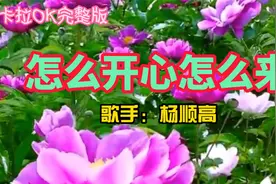 卡拉OK完整版《怎么开心怎么来》--杨顺高视频封面