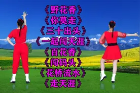 DJ《野花香》《你莫走》《一起闯天涯》《百花香》《花桥流水》