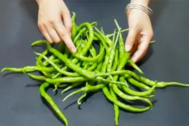 保存辣椒不要放冰箱，只需一个塑料袋，放一个月都不坏，太实用了视频封面