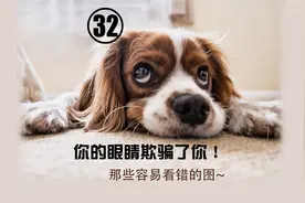 视觉欺骗，其实你的眼睛一直在欺骗你！第32期 那些容易看错的图视频封面
