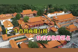 十二生肖智商排行榜，快看看你排第名。视频封面