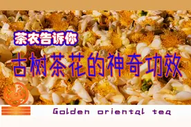 【茶农教你泡茶】古茶山的古树茶花有神奇功效视频封面