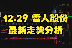 12月29号  #大盘分析 #雪人股份