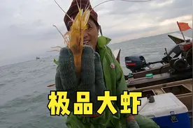 阿阳夫妻出海拼命抓海货，遇极品大虾挂上渔网，上岸却高兴不起来视频封面