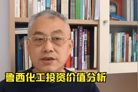 鲁西化工投资价值分析视频封面
