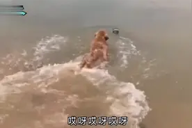 搞笑视频：瞅好了，我给你变个魔术，就你还变魔术呢，哎，哪去了视频封面