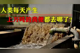 14亿国人每天排泄240万吨屎尿，都流去哪了？最终是如何处理的？视频封面