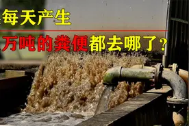 14亿国人每天排泄240万吨屎尿，都流去哪了？最终是如何处理的？视频封面