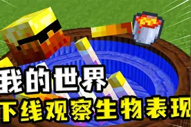 我的世界：玩家假装下线，偷偷观察生物反应，末影人在盖房子？视频封面
