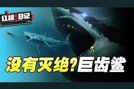 凭借40000颗巨牙称霸海洋2600万年 史前巨齿鲨是否藏身马里亚纳？