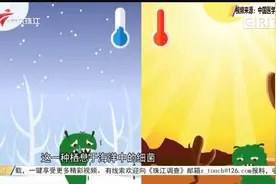 老人洗虾手指被扎竟要截肢保命 这种特殊菌很“要命”！视频封面