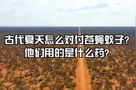 古代夏天怎么对付苍蝇蚊子？他们用的是什么药？视频封面