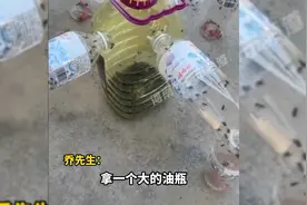 密密麻麻！男子用塑料瓶自制捕蝇神器效果显著！网友：快申请专利视频封面