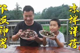 农村称它为“洋荷”城里嫌贵都不要，玉平现挖凉拌炒腊肉，味一流视频封面