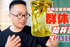清明400一斤的群体种龙井茶，老茶客喝着妙，年轻人不要喝视频封面