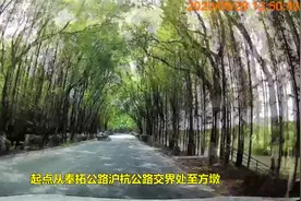 女司机自驾上海近郊，打卡上海最美沪杭公路，人生必须要自驾一次