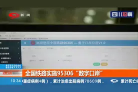 全国铁路实施95306“数字口岸”，国际联运将更高效便捷视频封面