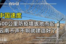 美国没想到，中国速度再发威！中缅边境500公里隔离墙一夜拔地起视频封面